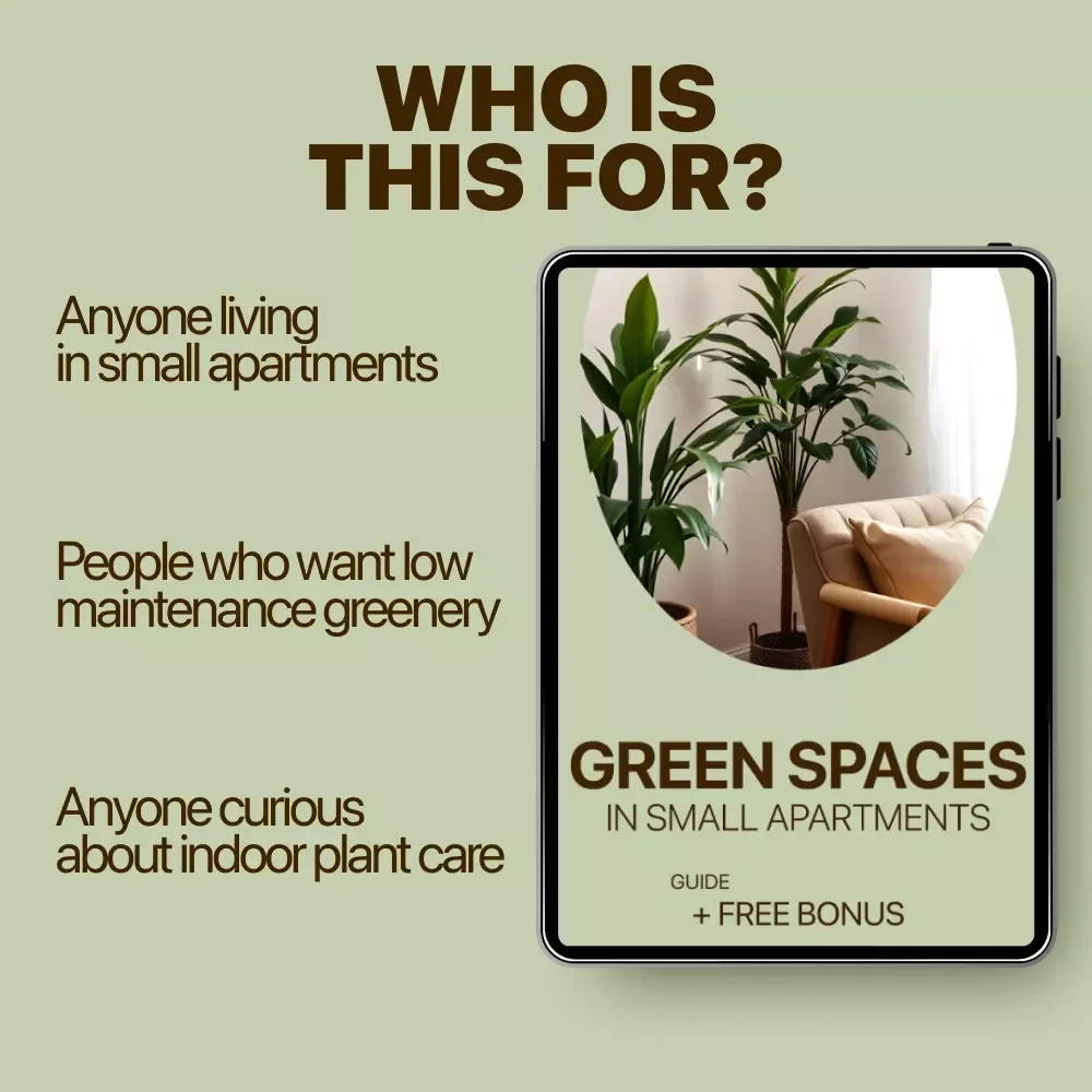 Green Spaces in Small Apartments – A Practical Guide to Plants for Small Apartments, Indoor Plant Care, and Smart Small-Space Gardening