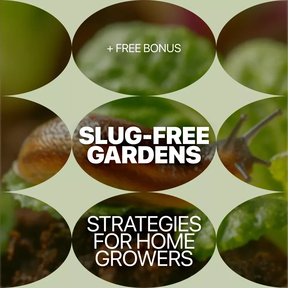Slug-Free Gardens: Smart Strategies for Home Growers | Practical Guide to Solving the Home Garden Slug Problem
