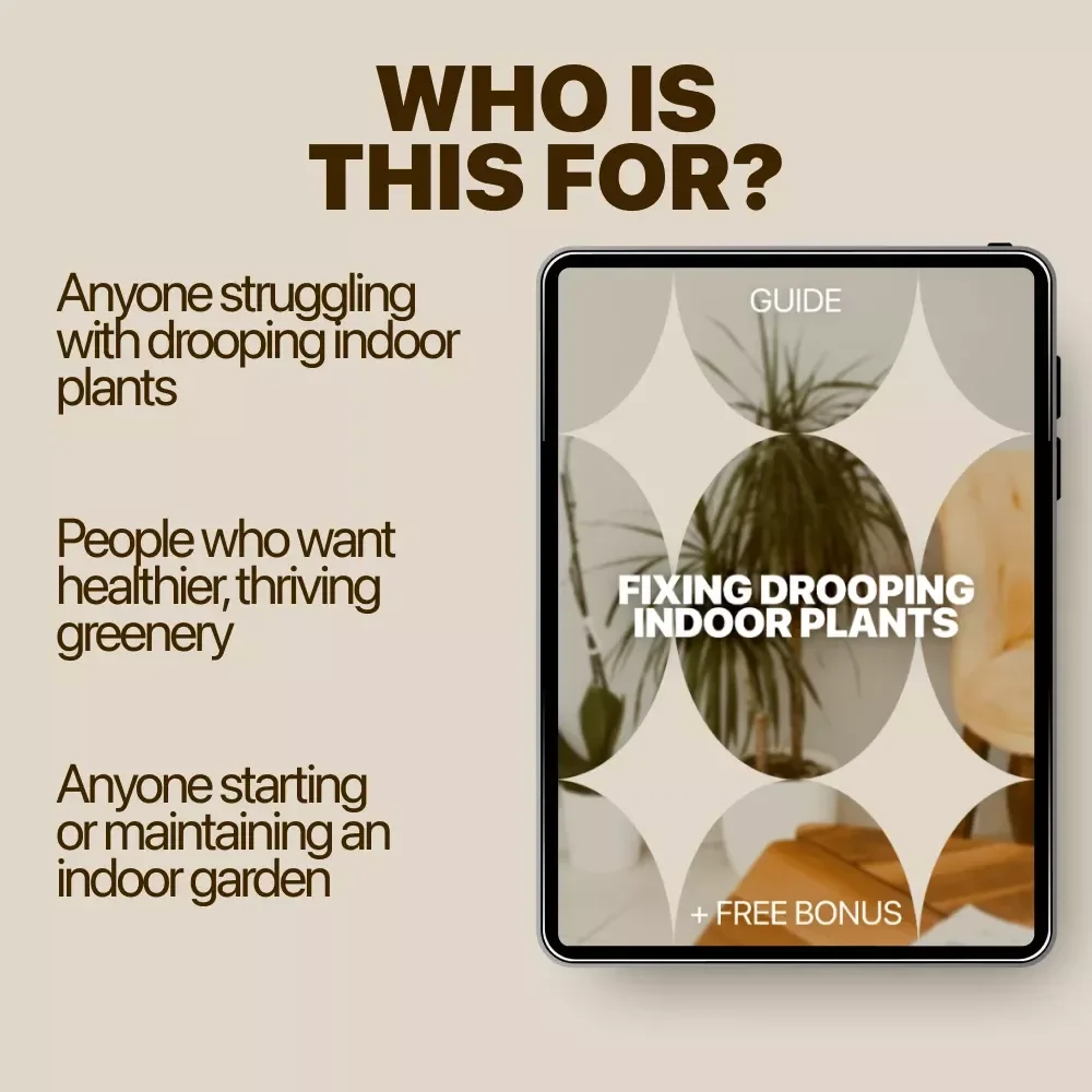 Fixing Drooping Indoor Plants: Expert Guide on Indoor Plants Drooping Causes, Watering, Pests, and Recovery Tips
