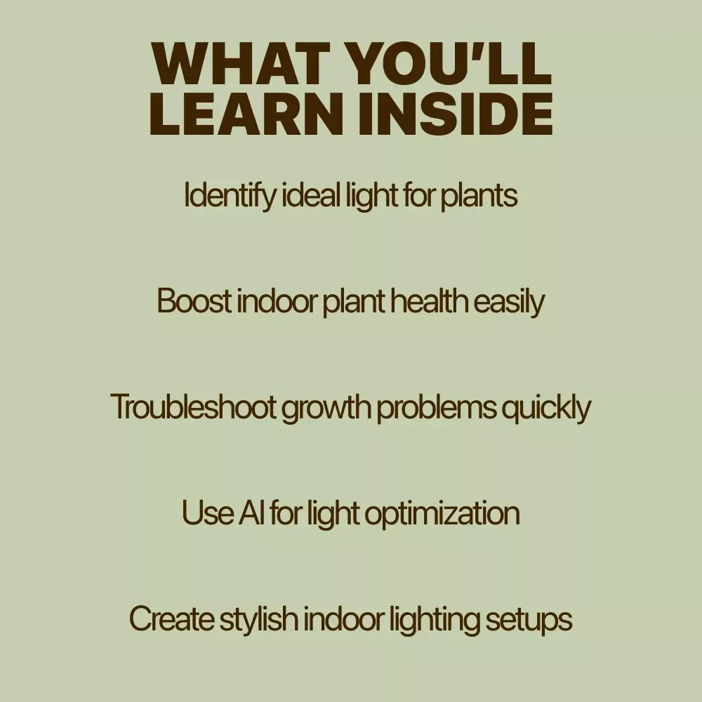 Indoor Plant Lighting Made Simple | Ebook Guide for Beginners | Indoor Plants Light Needs Explained | Digital Download