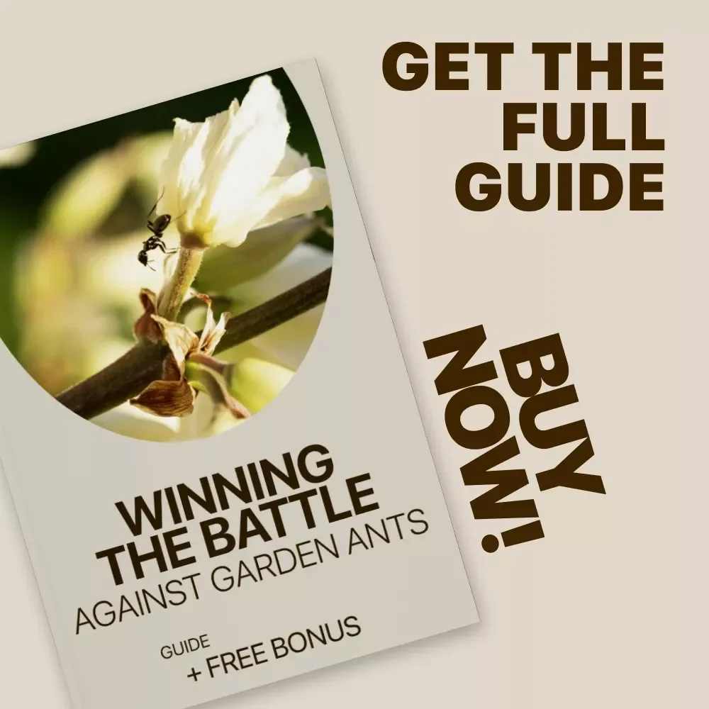 Winning the Battle Against Garden Ants – Practical Guide for Home Garden Ant Problem Solutions, Natural Prevention, Targeted Control & Long-Term Garden Care