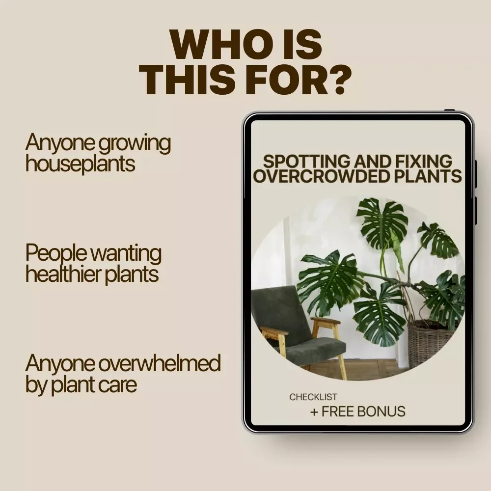 Spotting and Fixing Overcrowded Plants Checklist | Easy Plant Care Guide | Identify Overcrowded Plants Signs & Restore Healthy Growth
