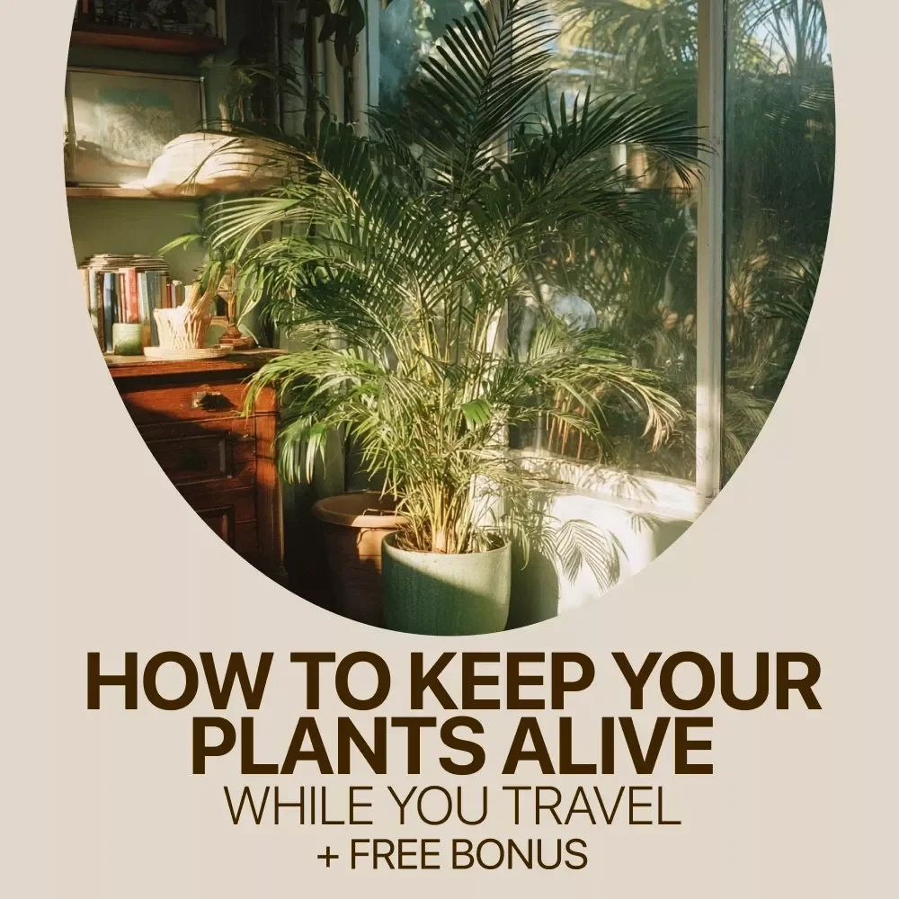 How to Keep Your Plants Alive While You Travel – Vacation Plant Care eBook | Plants That Survive Vacations Guide for Busy Plant Lovers