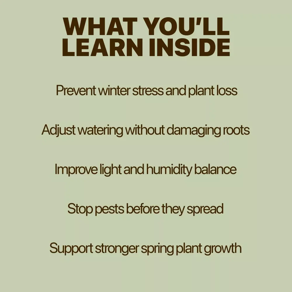 Keep Your Indoor Plants Healthy During the Winter | Indoor Plants Winter Care eBook for Thriving Houseplants