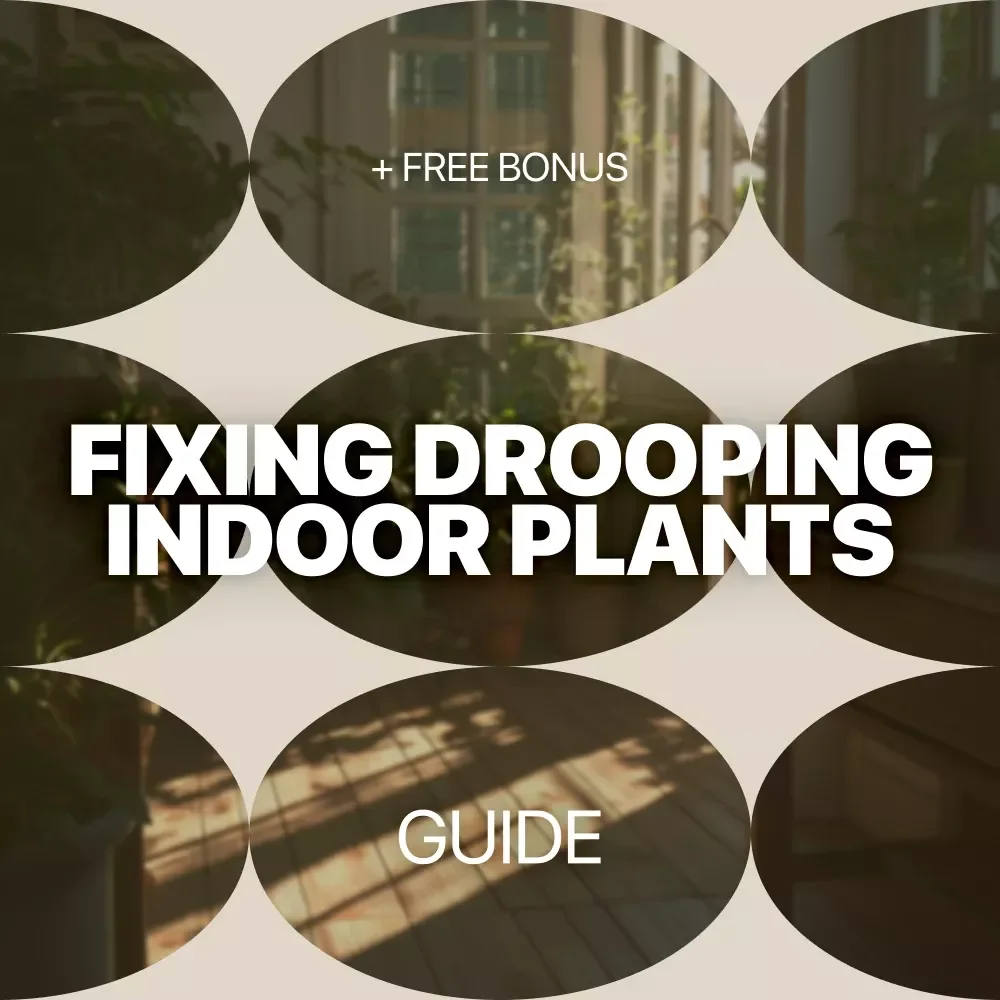 Fixing Drooping Indoor Plants: Expert Guide on Indoor Plants Drooping Causes, Watering, Pests, and Recovery Tips