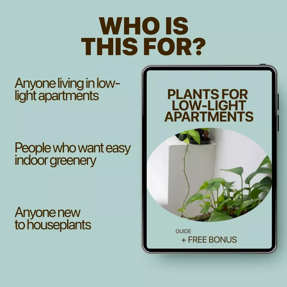 Plants for Low-Light Apartments Guide | Easy Indoor Greenery for Small Spaces | Digital Download for Beginners