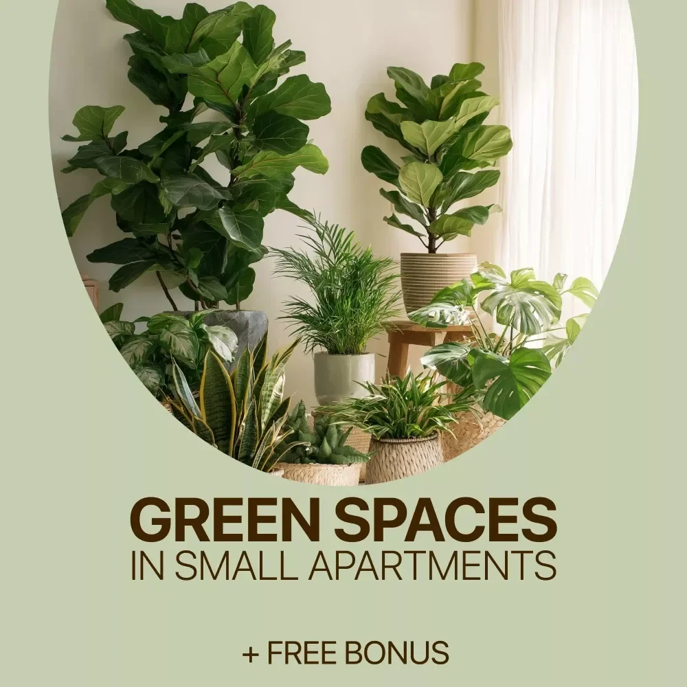 Green Spaces in Small Apartments – A Practical Guide to Plants for Small Apartments, Indoor Plant Care, and Smart Small-Space Gardening