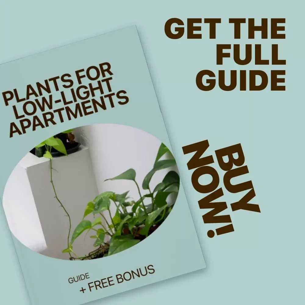 Plants for Low-Light Apartments Guide | Easy Indoor Greenery for Small Spaces | Digital Download for Beginners