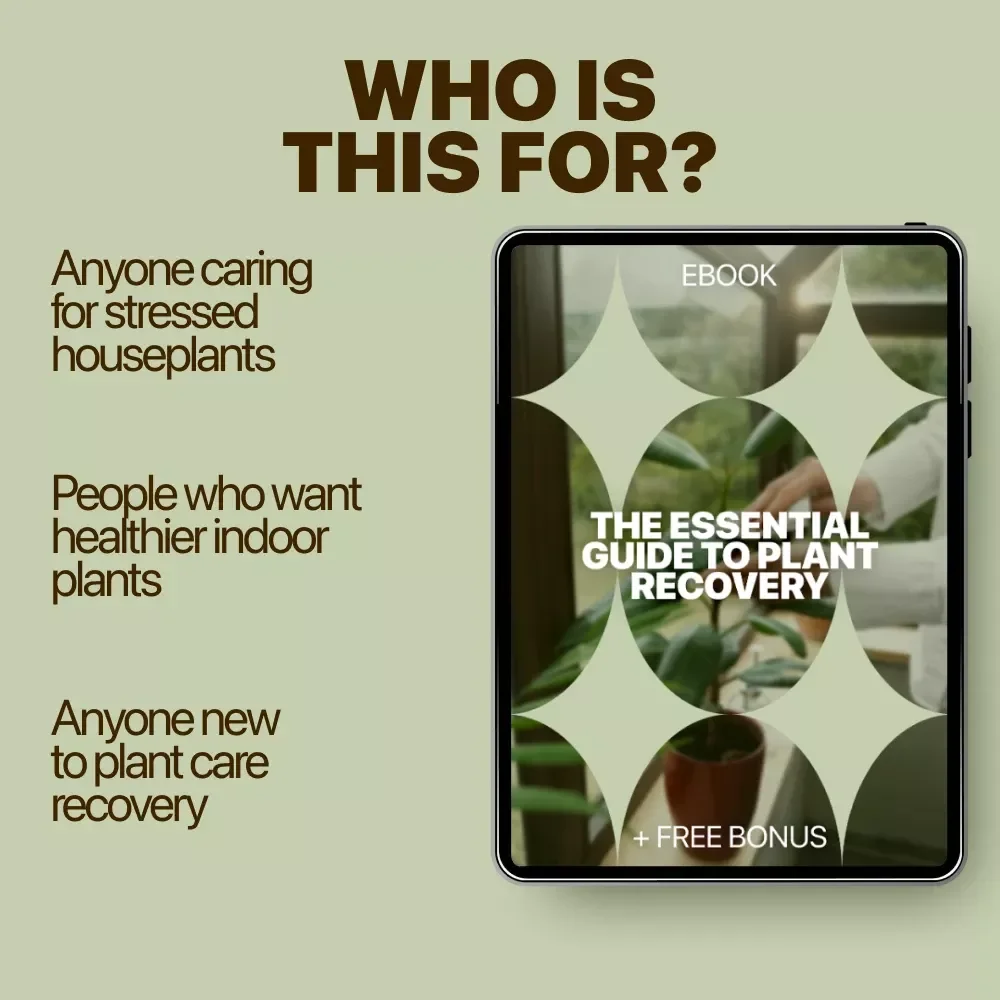 The Essential Guide to Plant Recovery – Practical Plant Recovery Steps eBook for Houseplant Care, Stress Diagnosis & Revival