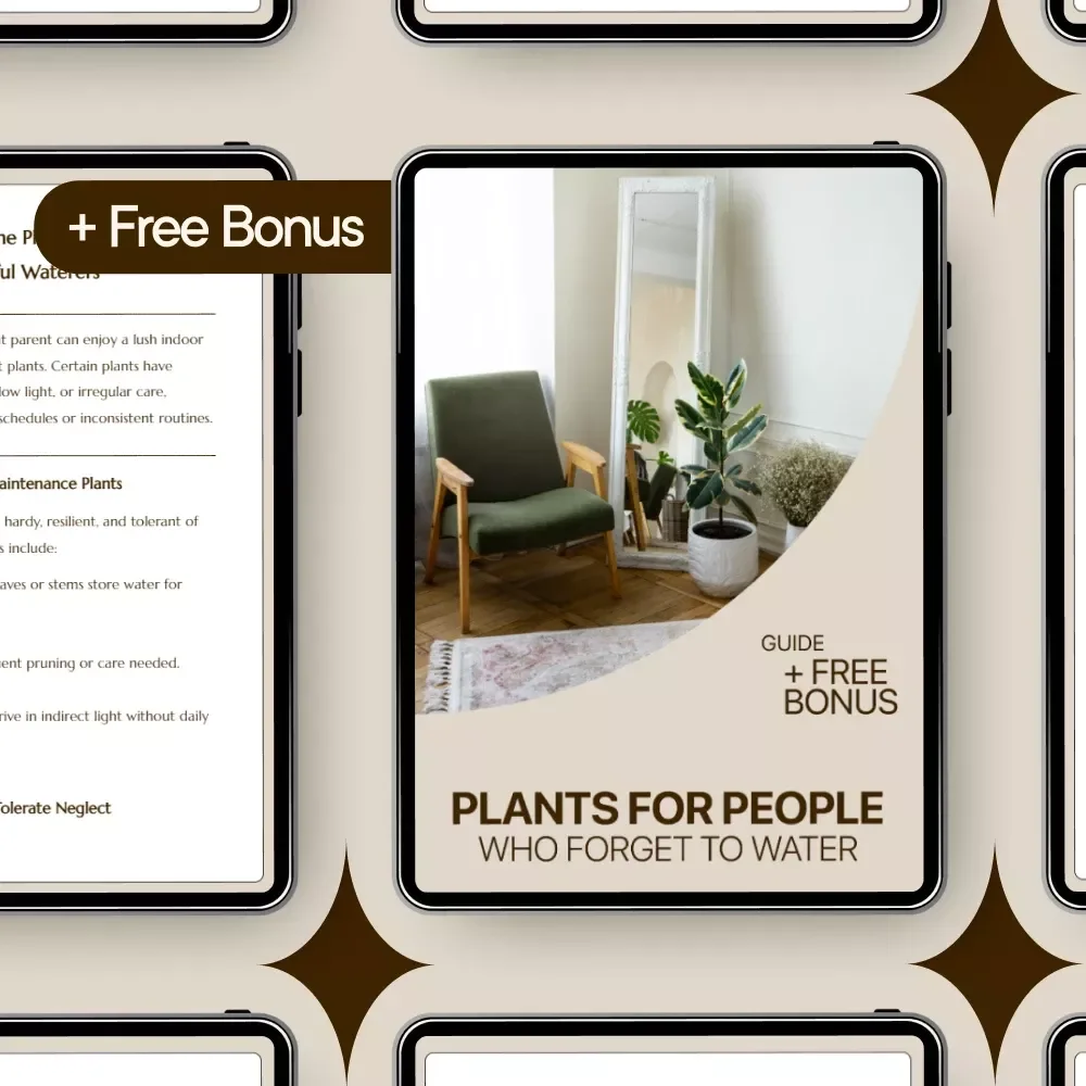 Plants for People Who Forget to Water – The Ultimate Guide to Low-Maintenance Indoor Plants for Forgetful Waterers