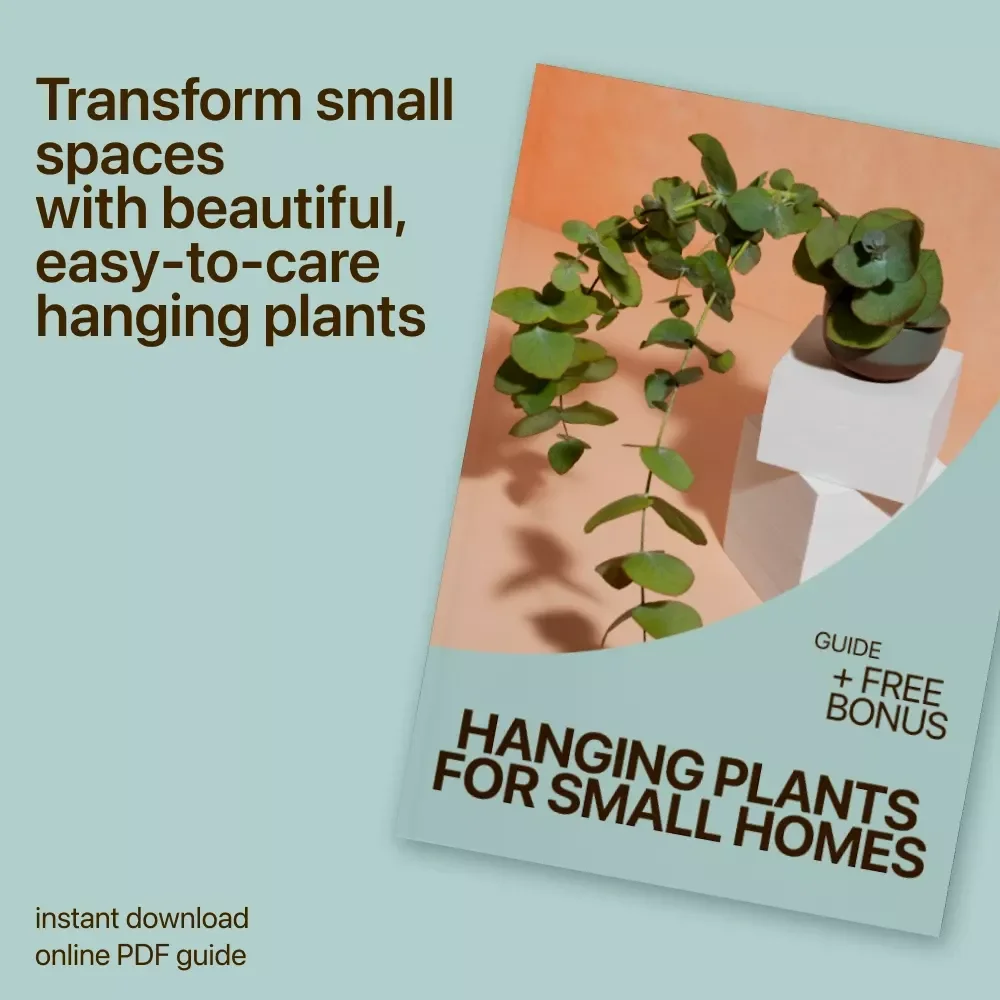Hanging Plants for Small Homes: The Ultimate Guide to Space-Saving Indoor Greenery, Care Tips, and Beginner-Friendly Plant Ideas