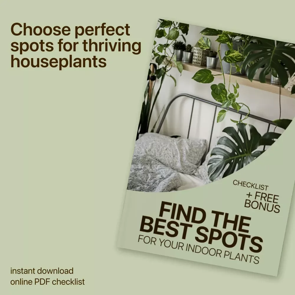 Find the Best Spots for Your Indoor Plants | Easy Home Plant Placement Checklist | best spots for indoor plants
