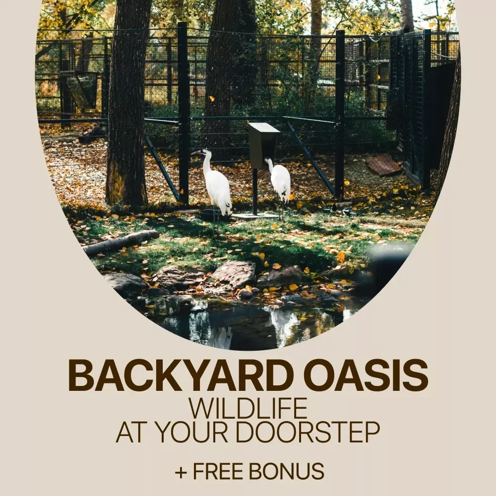 Backyard Oasis: Wildlife at Your Doorstep – Home Wildlife Friendly Yard Guide, Backyard Habitat Planning eBook, Nature-Loving Garden Checklist