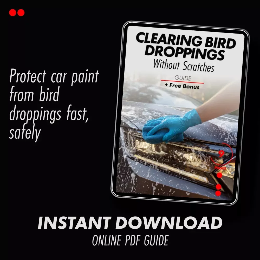 Clearing Bird Droppings Without Scratches – A Smart Car Care Guide on how to remove bird droppings from car paint | Easy Paint-Safe Cleaning & Prevention
