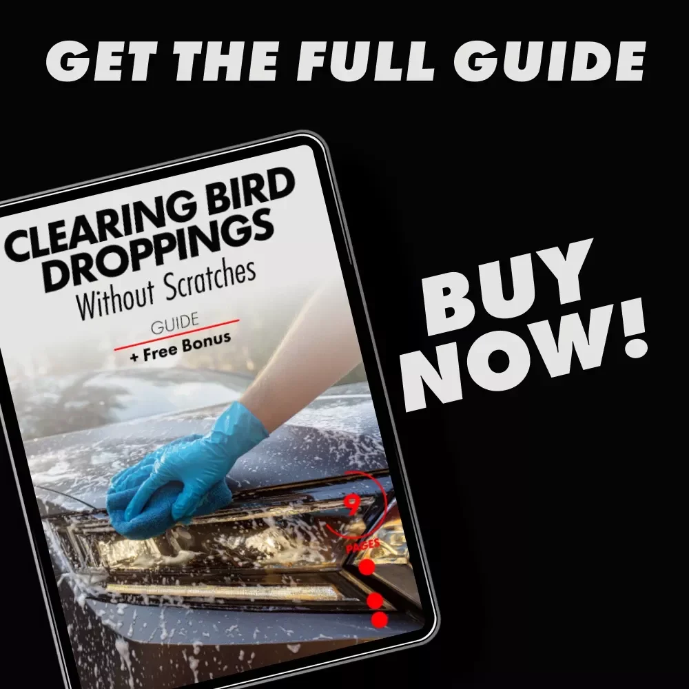 Clearing Bird Droppings Without Scratches – A Smart Car Care Guide on how to remove bird droppings from car paint | Easy Paint-Safe Cleaning & Prevention
