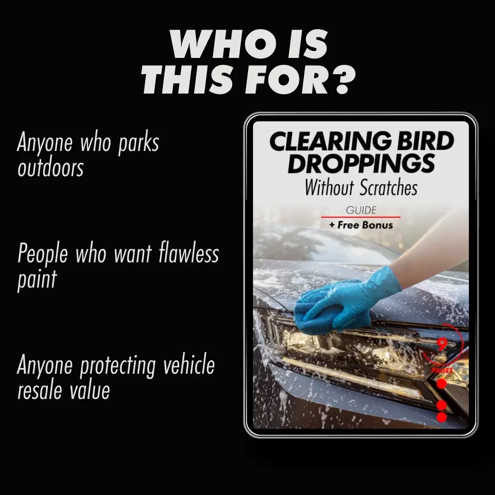 Clearing Bird Droppings Without Scratches – A Smart Car Care Guide on how to remove bird droppings from car paint | Easy Paint-Safe Cleaning & Prevention