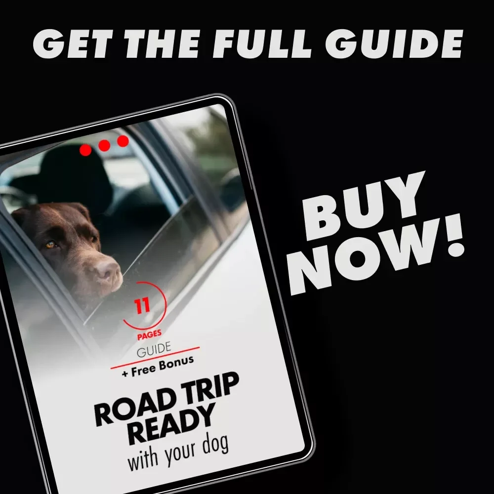 Road Trip Ready With Your Dog: The Ultimate Guide to Traveling with Your Furry Friend
