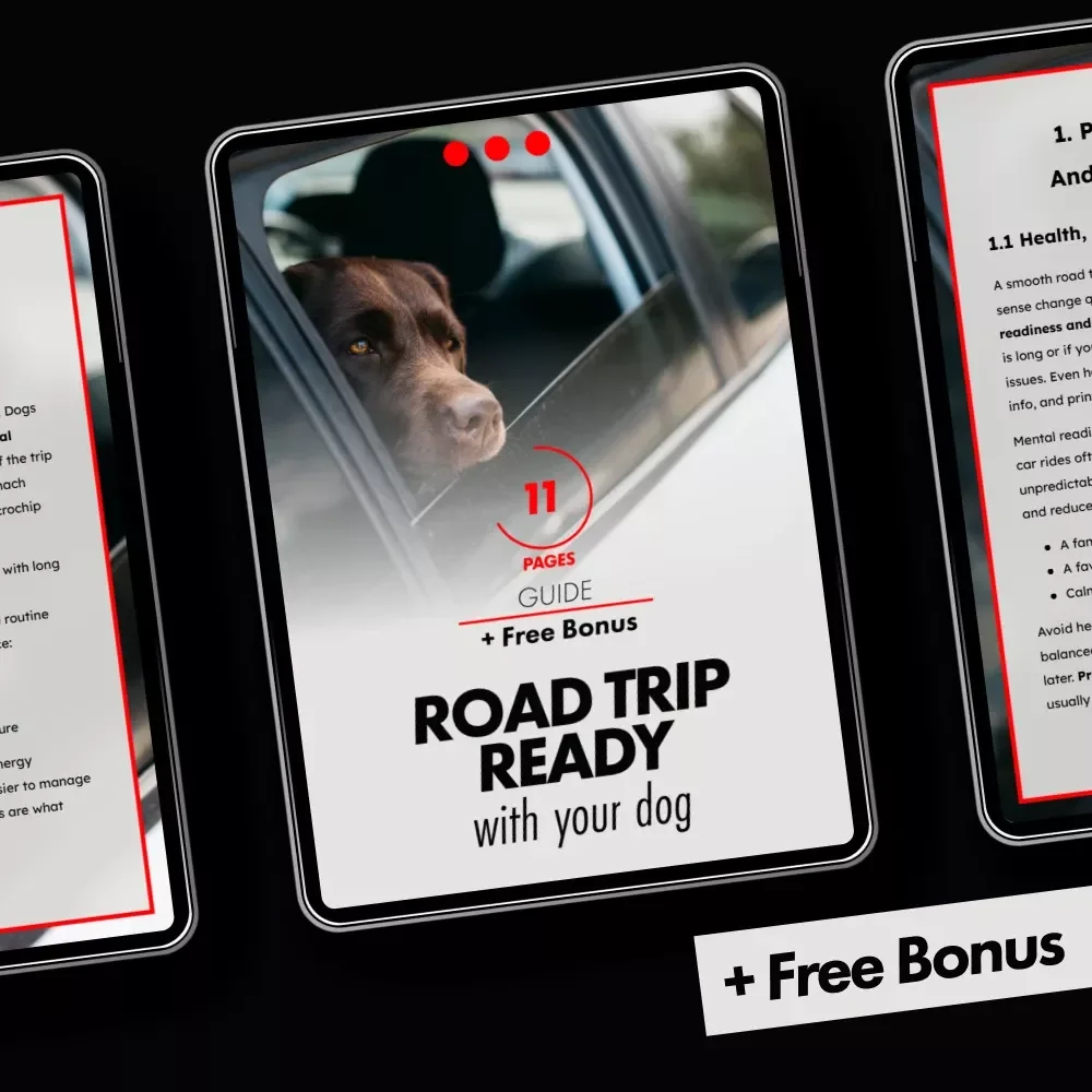 Road Trip Ready With Your Dog: The Ultimate Guide to Traveling with Your Furry Friend