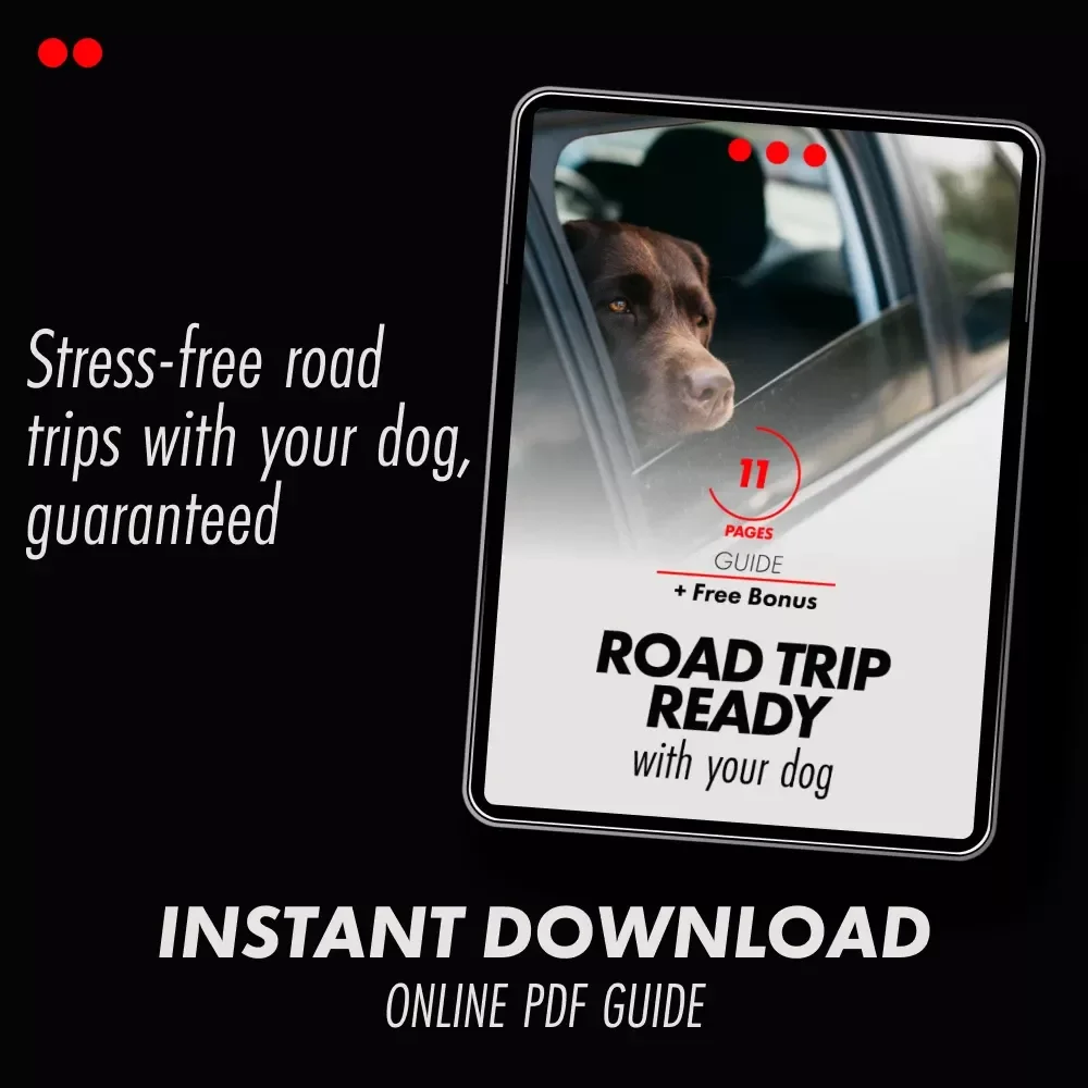 Road Trip Ready With Your Dog: The Ultimate Guide to Traveling with Your Furry Friend