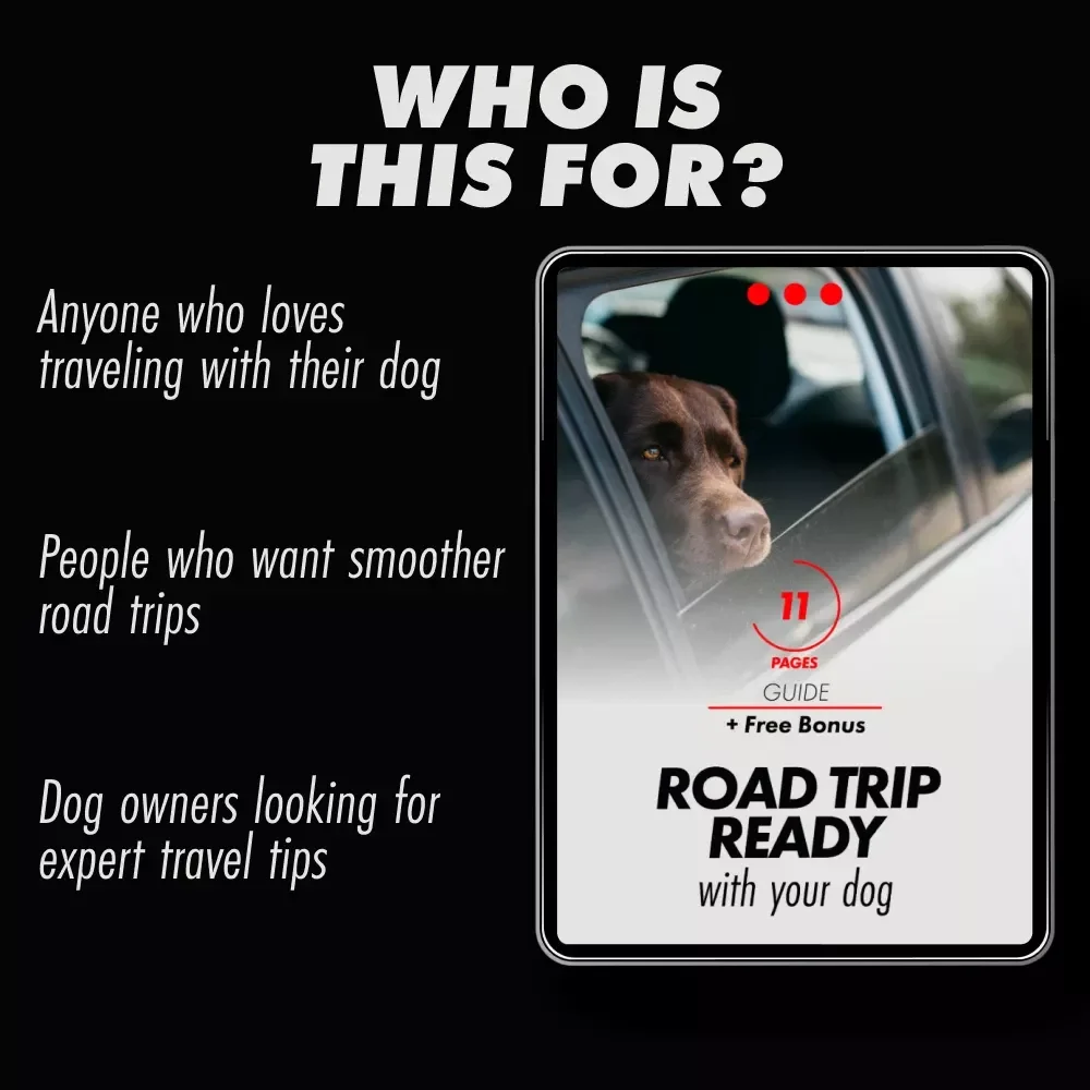 Road Trip Ready With Your Dog: The Ultimate Guide to Traveling with Your Furry Friend