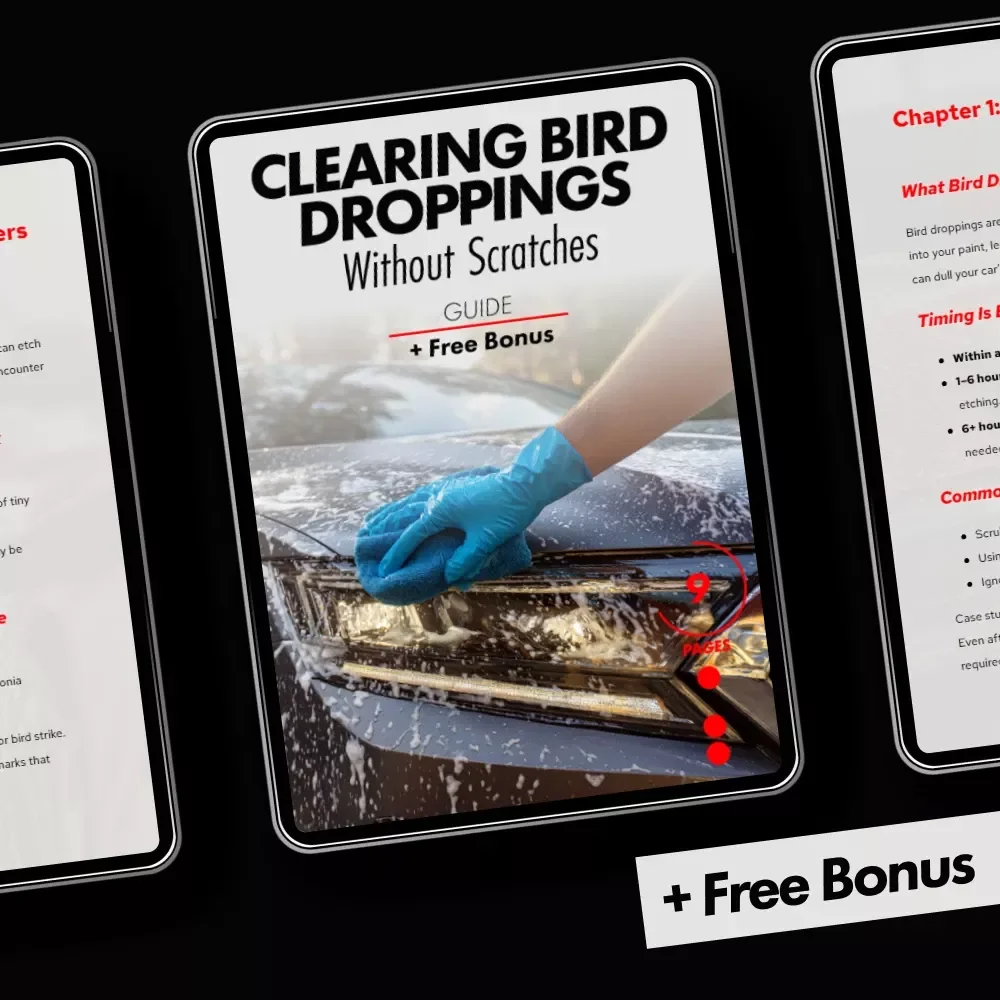Clearing Bird Droppings Without Scratches – A Smart Car Care Guide on how to remove bird droppings from car paint | Easy Paint-Safe Cleaning & Prevention