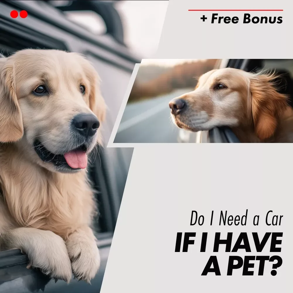 Pet + Car? Printable Checklist | Do I Need a Car If I Have a Pet | Smart Pet Owner Transport Decision Guide
