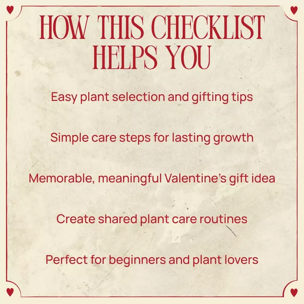 A Valentine Gift That Keeps Growing: A Thoughtful Plant Care Guide & Checklist for Lasting Love