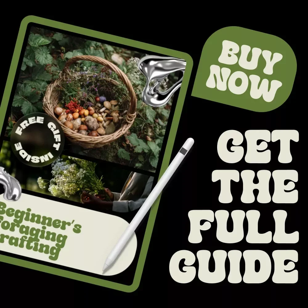 Beginner’s Foraging Crafting – A Practical Foraging Craft Beginners Guide for Nature-Inspired DIY Projects