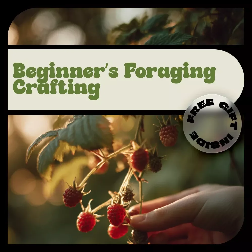 Beginner’s Foraging Crafting – A Practical Foraging Craft Beginners Guide for Nature-Inspired DIY Projects