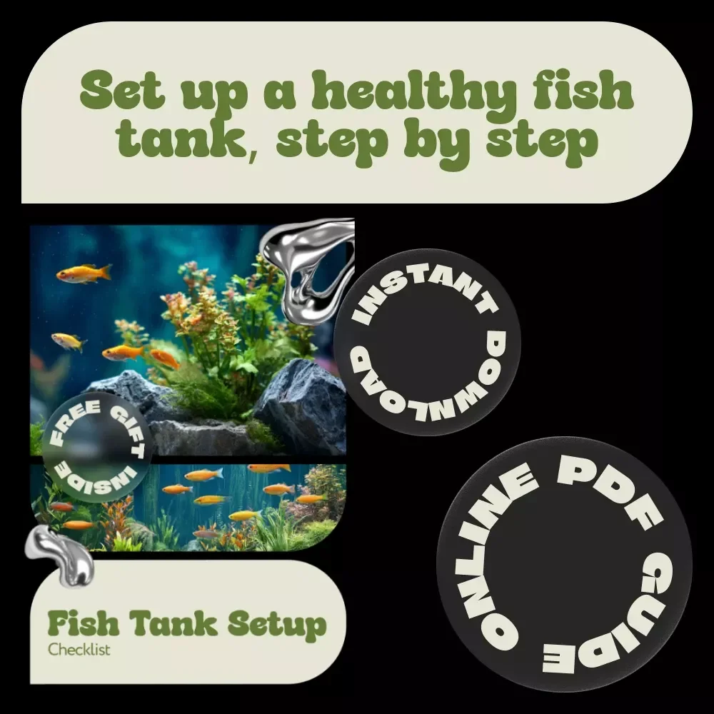 Fish Tank Setup Checklist – Easy Beginner Aquarium Planner, Step-by-Step Guide & Fish Tank Setup Ideas for Freshwater & Saltwater Tanks