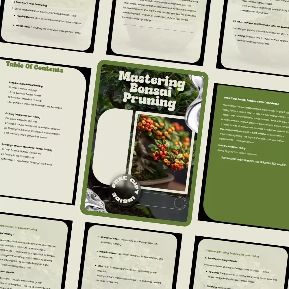 Mastering Bonsai Pruning – A Complete Guide to Bonsai Pruning for Beginners, Step-by-Step Techniques, Seasonal Timing & Tree Shaping