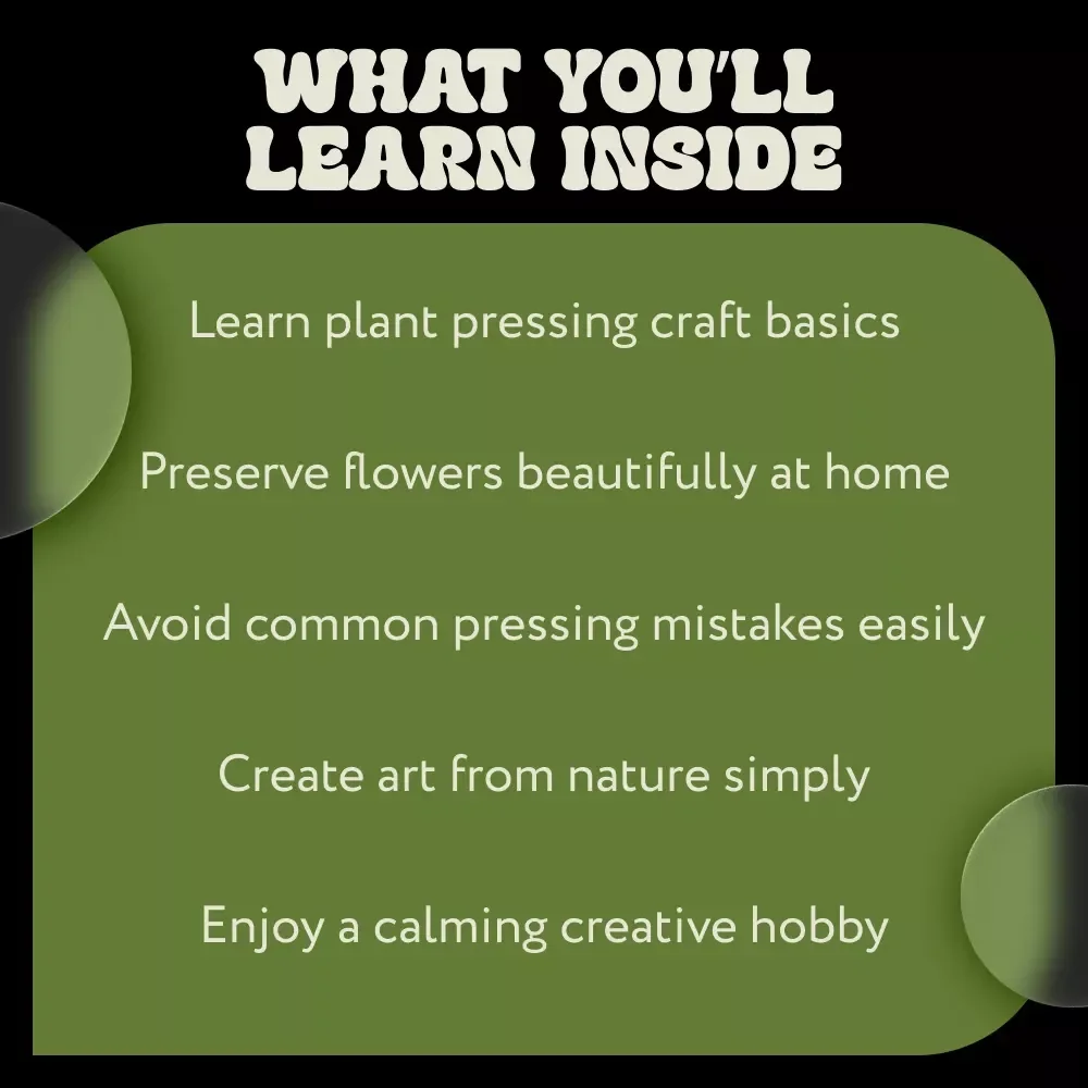 The Art of Plant Pressing – A Beginner-Friendly Guide to Plant Pressing Craft Basics, Nature Art & Creative Botanical Projects