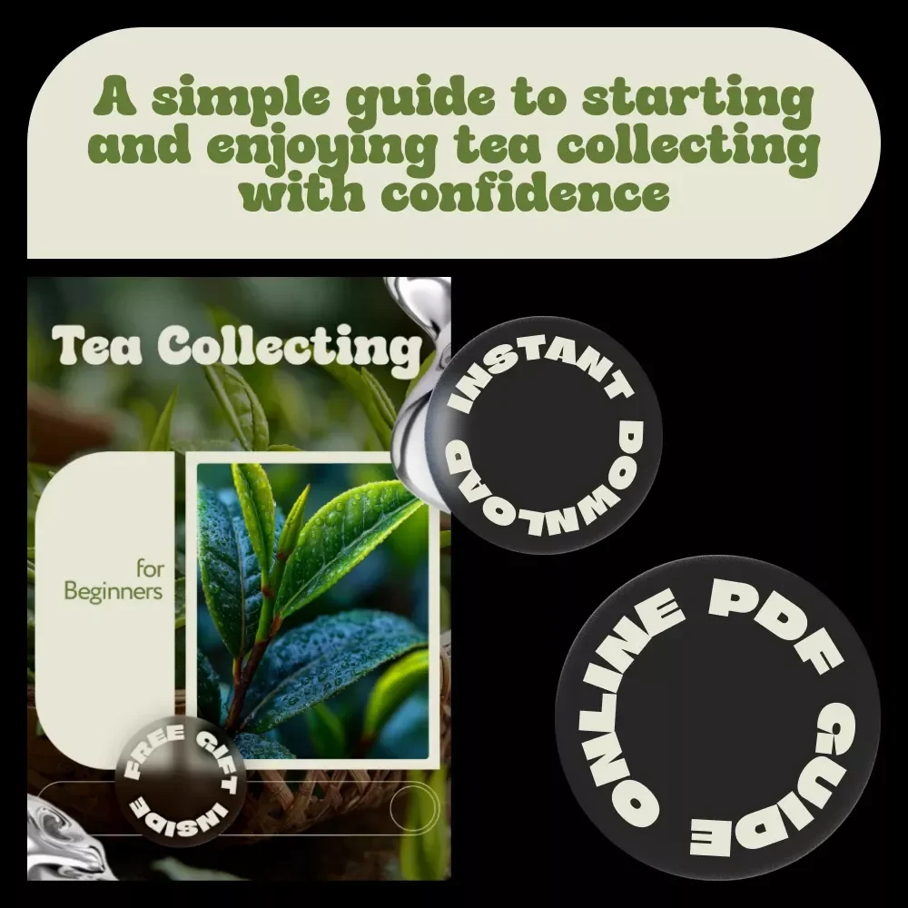 Tea Collecting for Beginners | Complete Beginner’s Guide to Tea Collecting, Tasting, Storing & Building a Meaningful Tea Collection (Digital eBook)