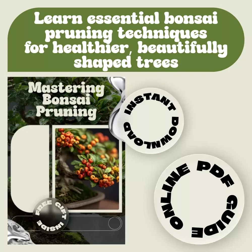 Mastering Bonsai Pruning – A Complete Guide to Bonsai Pruning for Beginners, Step-by-Step Techniques, Seasonal Timing & Tree Shaping
