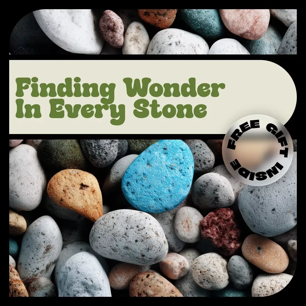 Finding Wonder in Every Stone – A Beginner-Friendly Rock Collecting Tips eBook for Curious Collectors