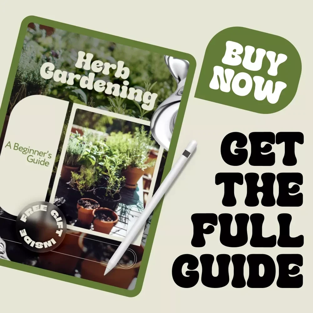 A Beginner's Guide to Herb Gardening | Indoor Herb Gardening eBook for Beginners | Grow Fresh Herbs at Home Digital Download