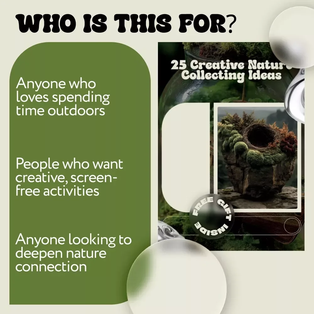 25 Creative Nature Collecting Ideas | Nature Journal Guide, Outdoor Exploration Activities, Printable Digital Download eBook & Checklist