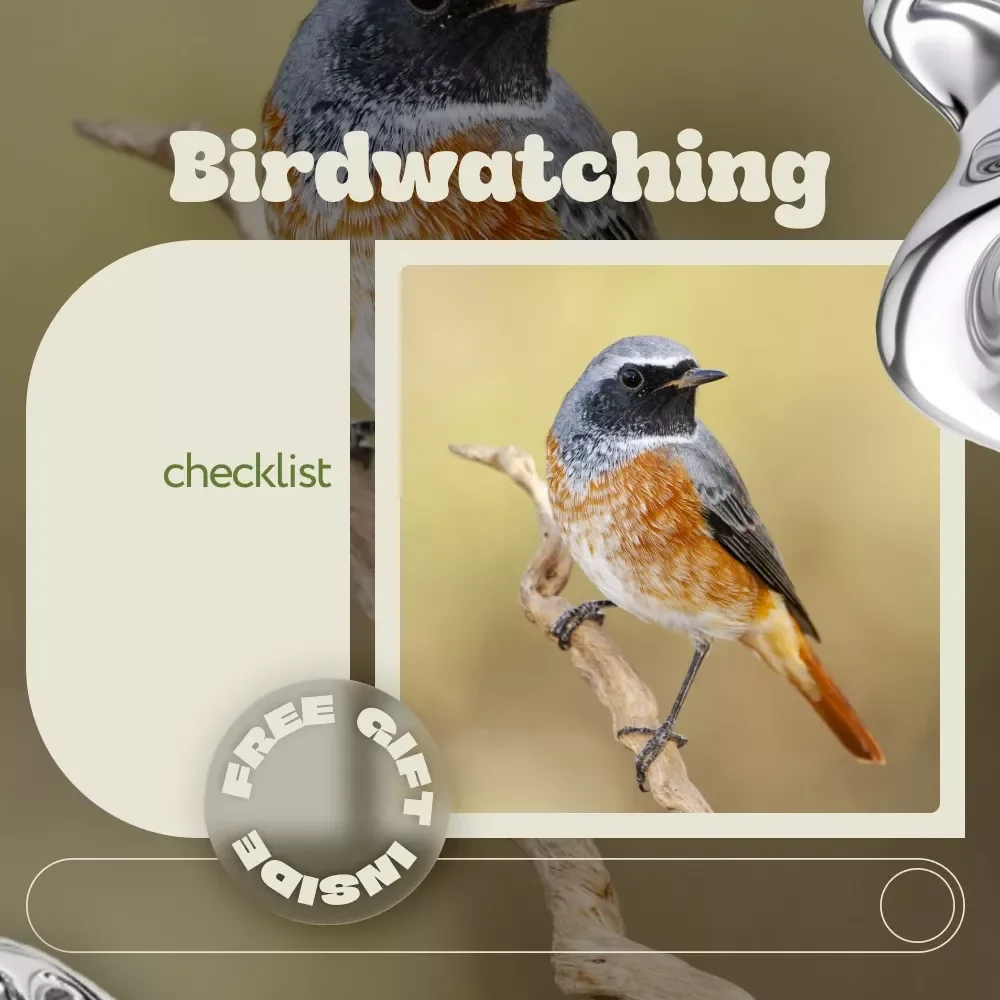 Birdwatching Checklist | Easy Birdwatching Tips Guide for Beginners & Nature Lovers | Printable & Digital Download