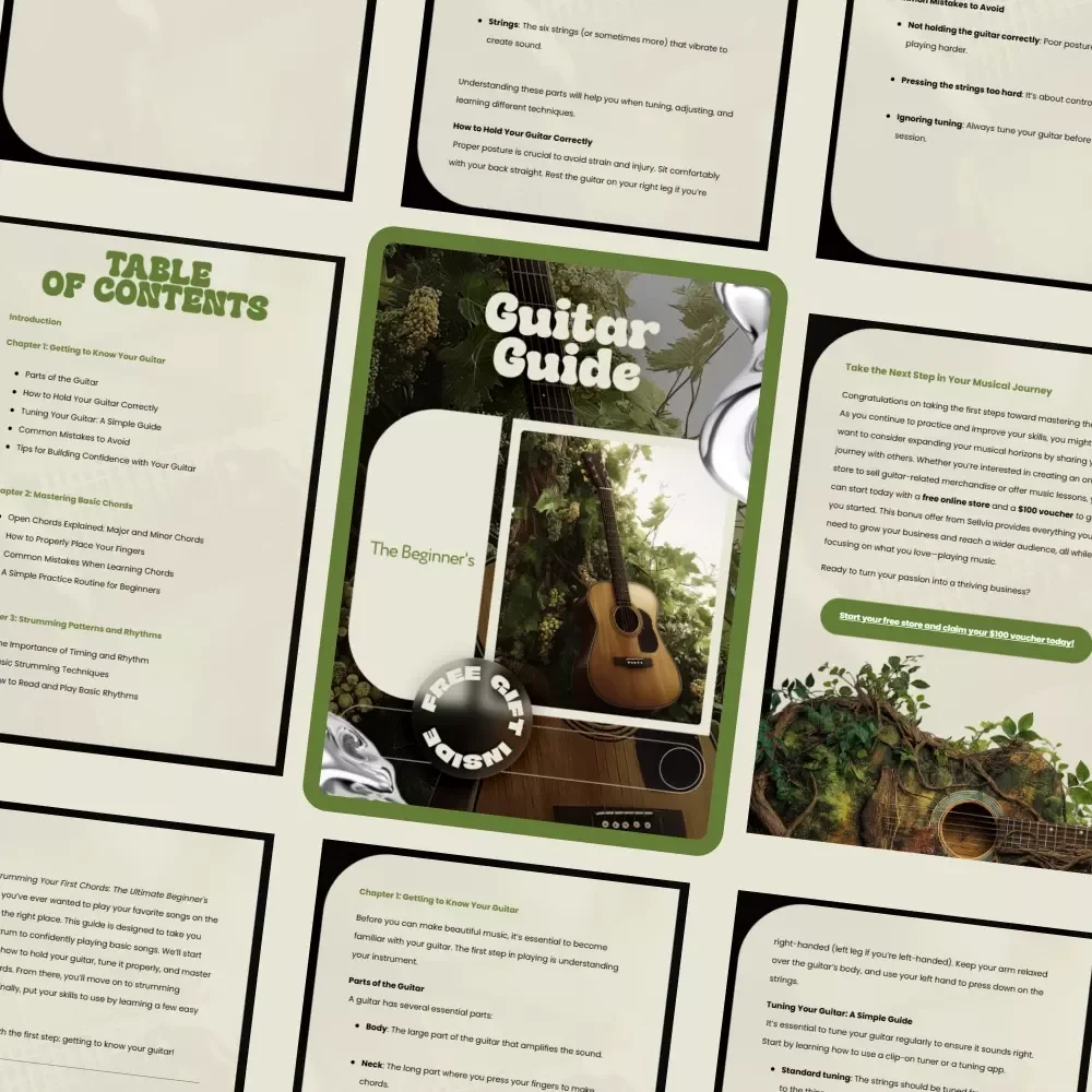 The Beginner's Guitar Guide: Step-by-Step Guitar Playing for Beginners eBook and Digital Guide