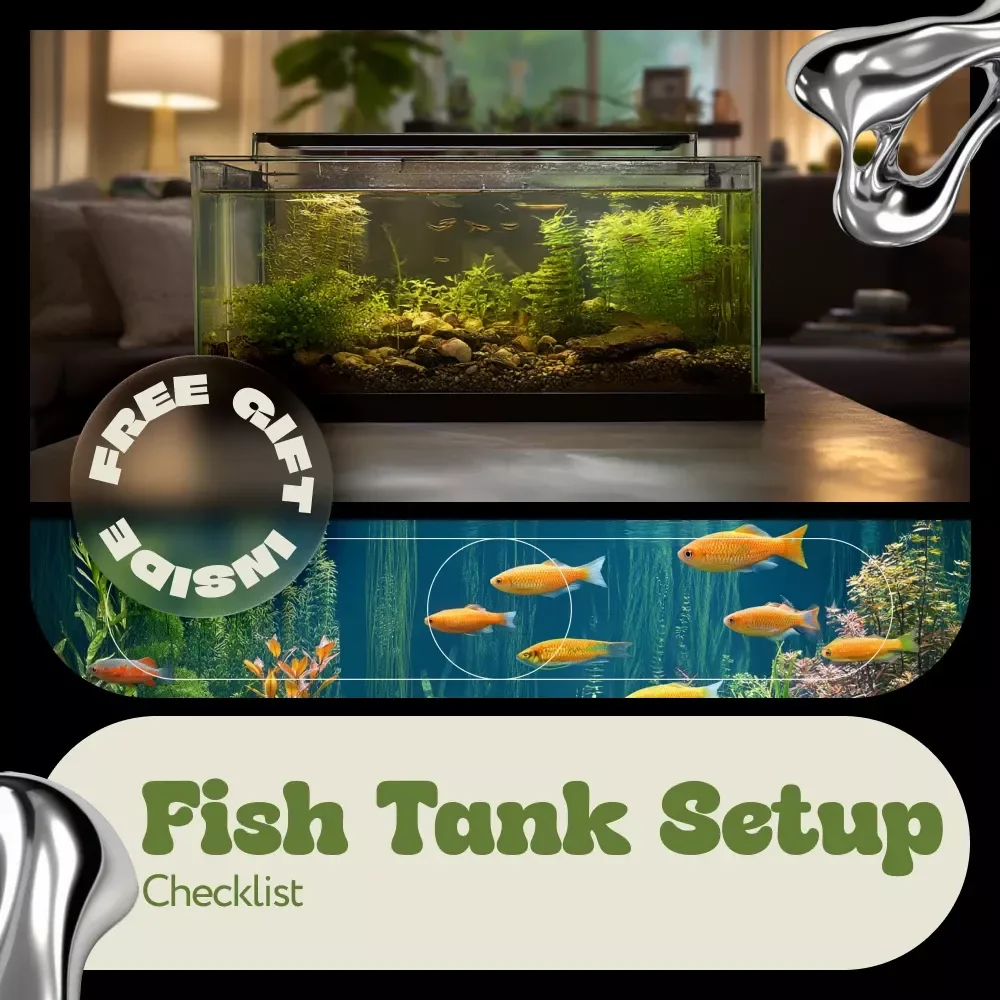 Fish Tank Setup Checklist – Easy Beginner Aquarium Planner, Step-by-Step Guide & Fish Tank Setup Ideas for Freshwater & Saltwater Tanks