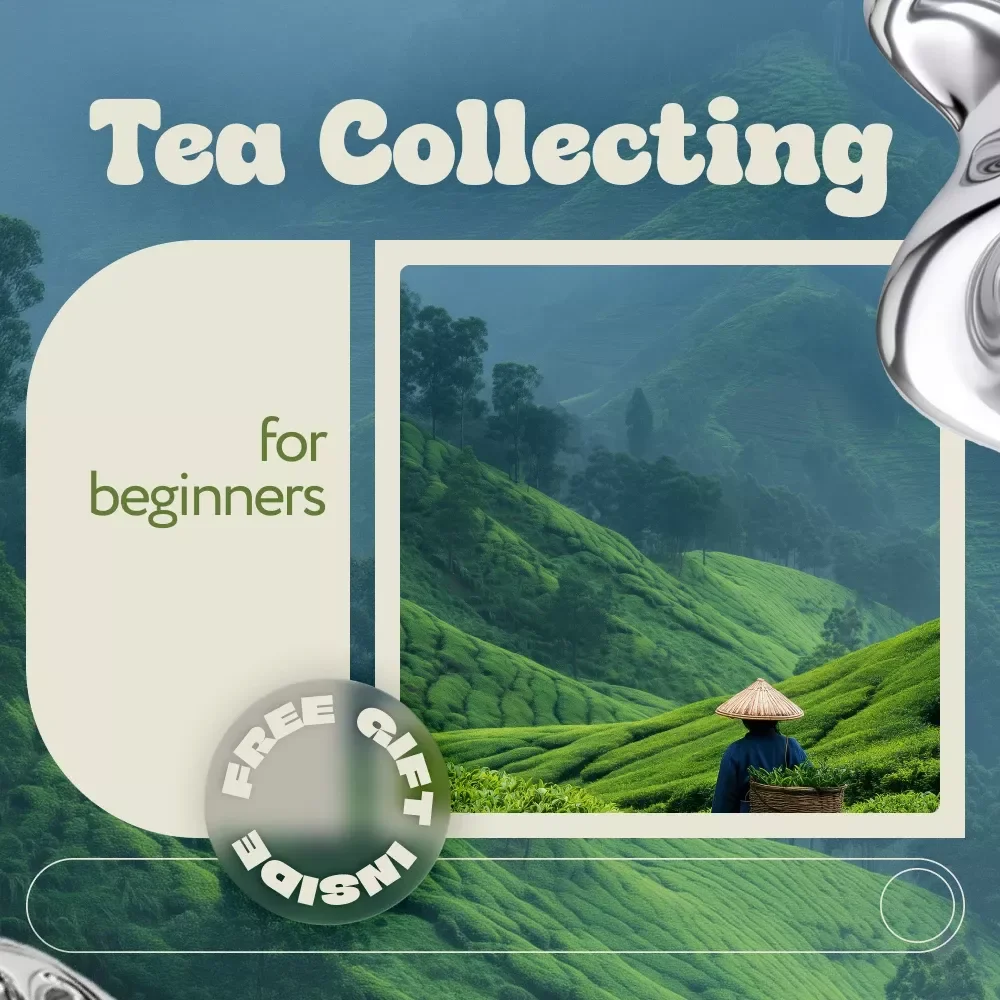 Tea Collecting for Beginners | Complete Beginner’s Guide to Tea Collecting, Tasting, Storing & Building a Meaningful Tea Collection (Digital eBook)