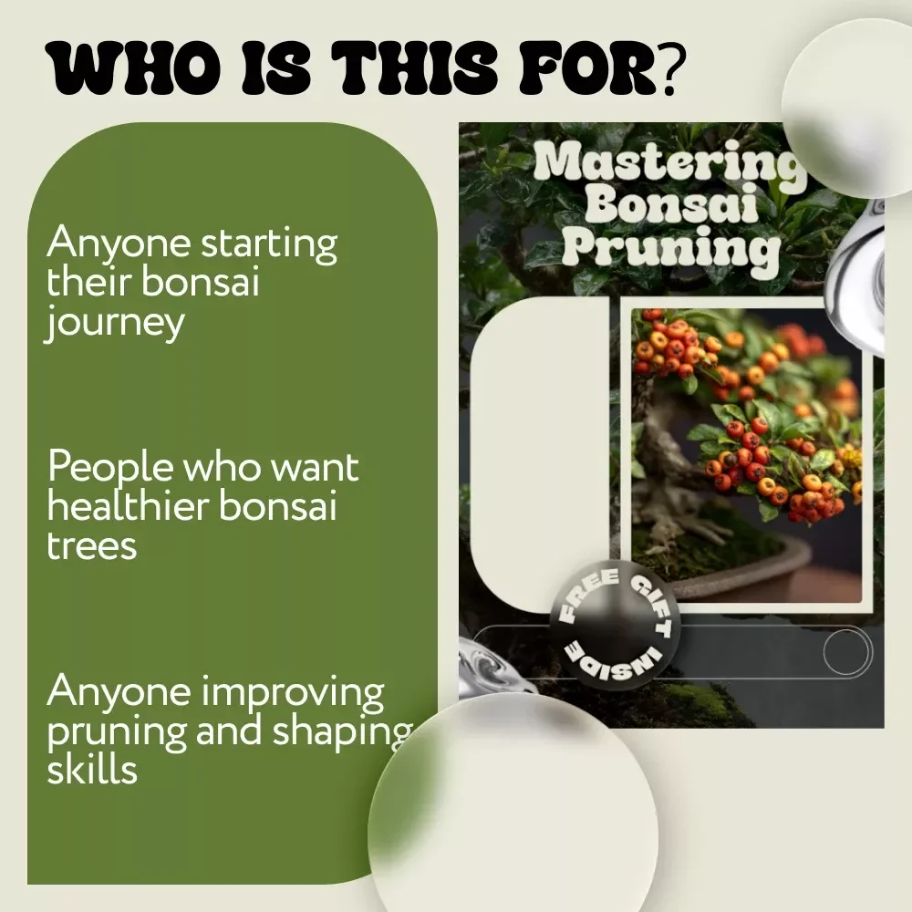 Mastering Bonsai Pruning – A Complete Guide to Bonsai Pruning for Beginners, Step-by-Step Techniques, Seasonal Timing & Tree Shaping