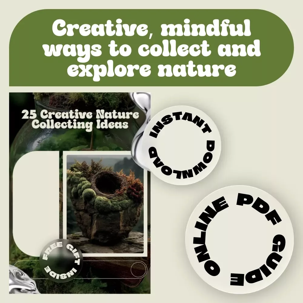 25 Creative Nature Collecting Ideas | Nature Journal Guide, Outdoor Exploration Activities, Printable Digital Download eBook & Checklist