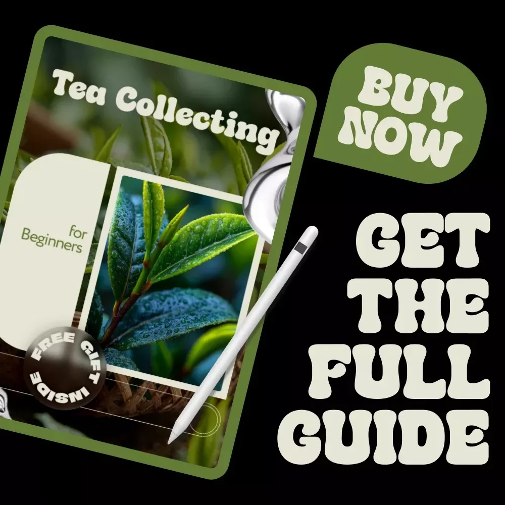 Tea Collecting for Beginners | Complete Beginner’s Guide to Tea Collecting, Tasting, Storing & Building a Meaningful Tea Collection (Digital eBook)