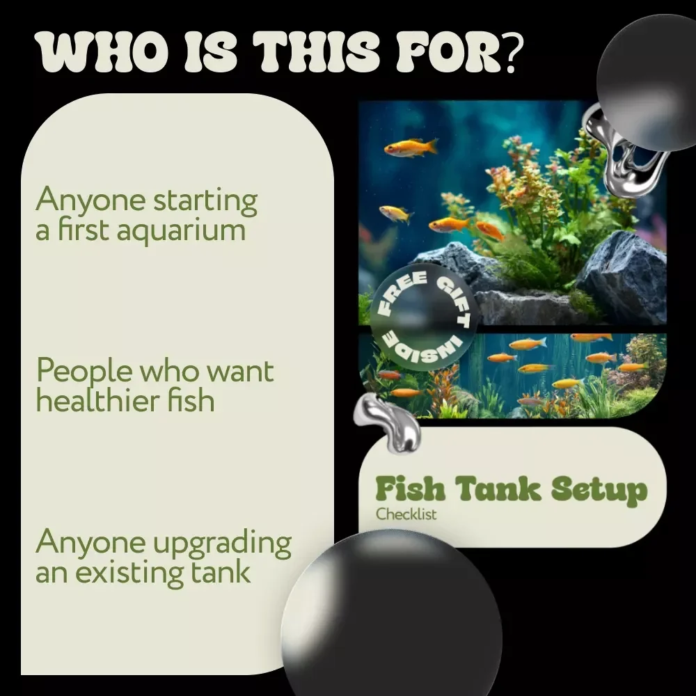 Fish Tank Setup Checklist – Easy Beginner Aquarium Planner, Step-by-Step Guide & Fish Tank Setup Ideas for Freshwater & Saltwater Tanks