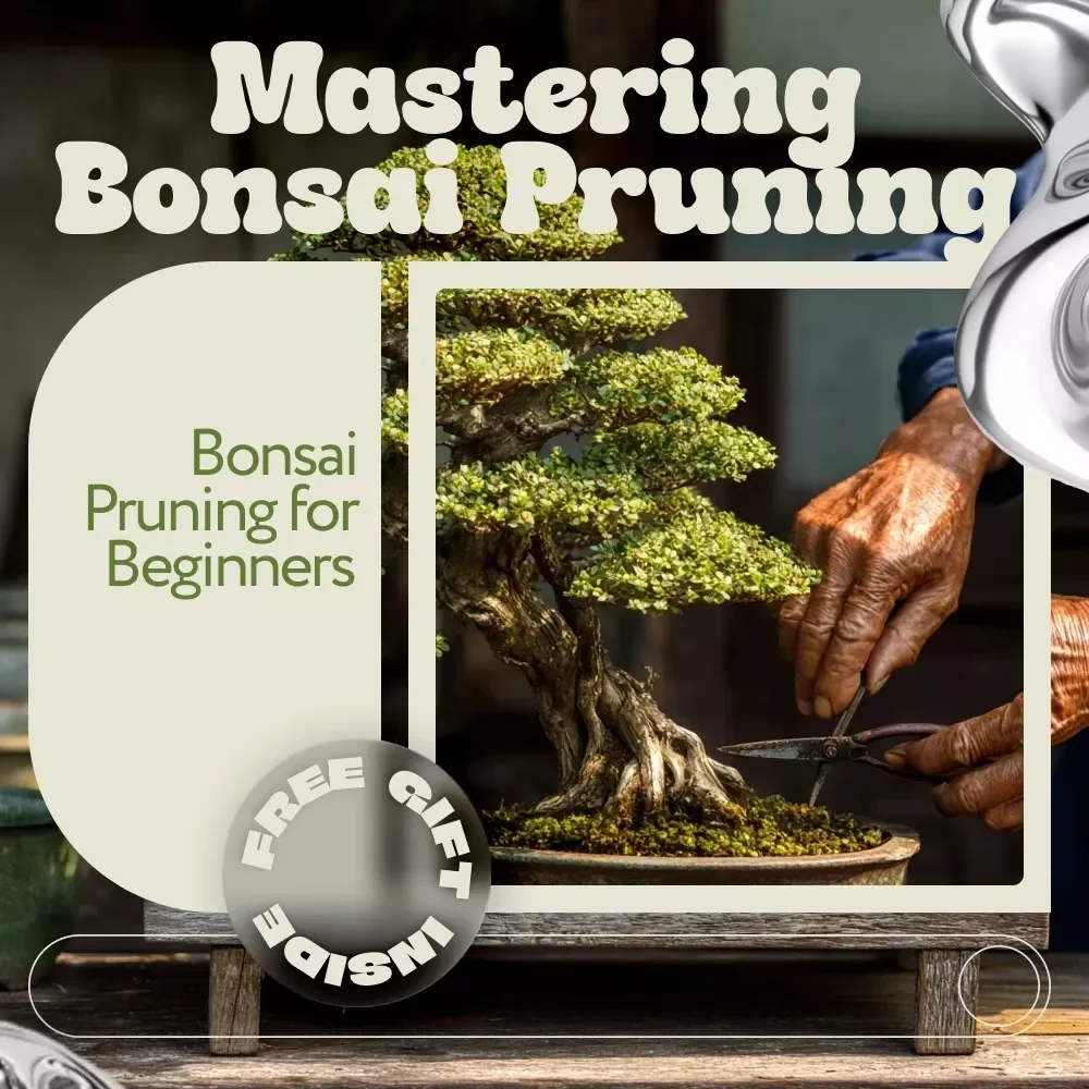 Mastering Bonsai Pruning – A Complete Guide to Bonsai Pruning for Beginners, Step-by-Step Techniques, Seasonal Timing & Tree Shaping