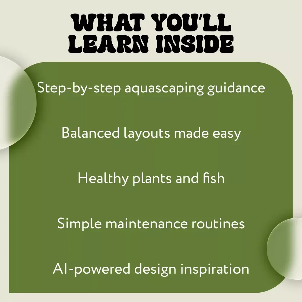Creating Your Own Aquascape Paradise – Beginner-Friendly Aquascaping Basics Guide, Step-by-Step Aquascape Design & Maintenance Digital Download