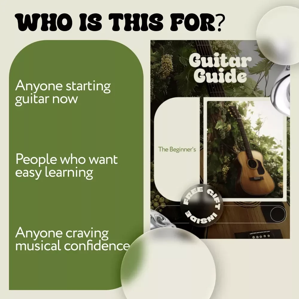 The Beginner's Guitar Guide: Step-by-Step Guitar Playing for Beginners eBook and Digital Guide
