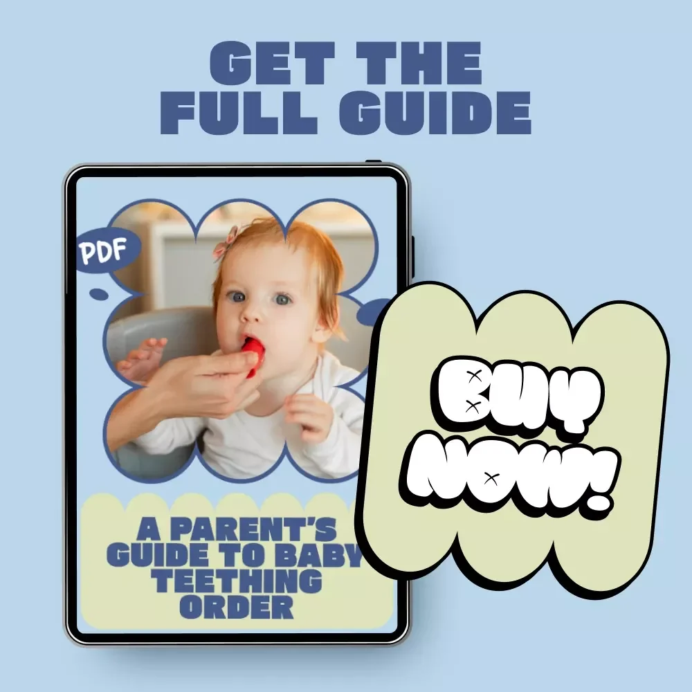 A Parent’s Guide to Baby Teething Order | Easy Baby Teething Order of Teeth Timeline, Printable Guide for New Parents & Caregivers