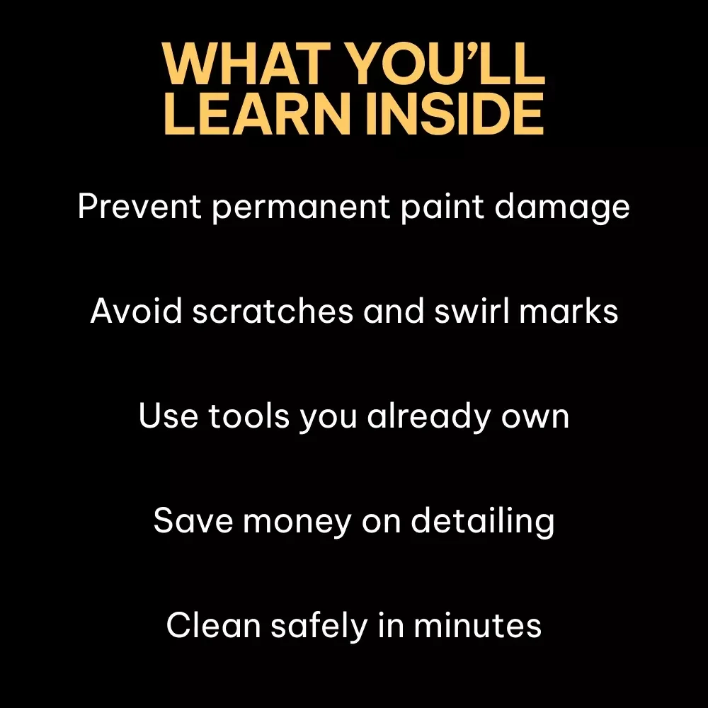 Bird Droppings Gone Without Paint Damage – A Practical Guide on how to remove bird droppings from car paint Safely & Easily